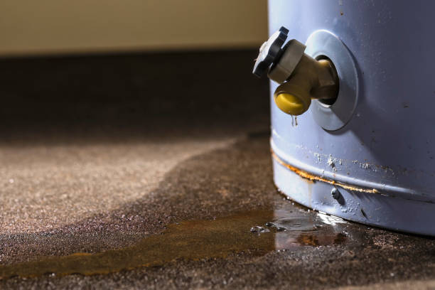 Best Water damage restoration near me  in Candor, NC