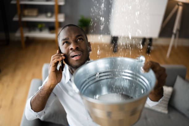 Best Sewage cleanup and water damage restoration  in Candor, NC