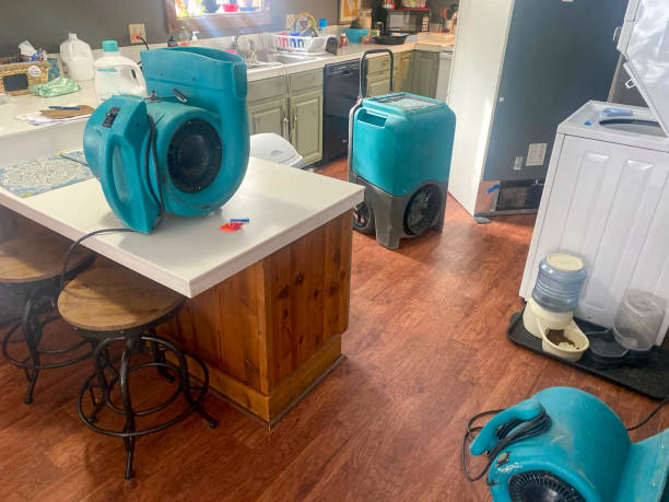 Best Water damage cleanup near me  in Candor, NC
