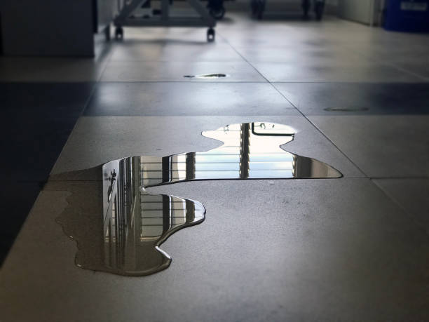 Best Water damage restoration specialists  in Candor, NC