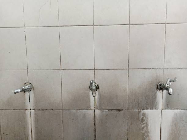 Best Ceiling water damage repair  in Candor, NC