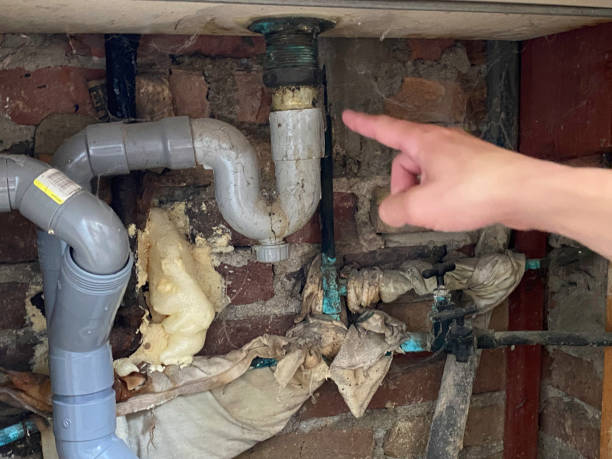 Water damage restoration mold remediation in NC