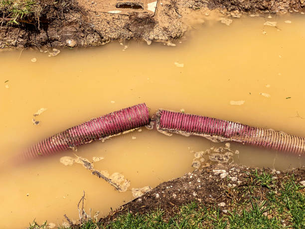 Best Emergency water damage restoration  in Candor, NC