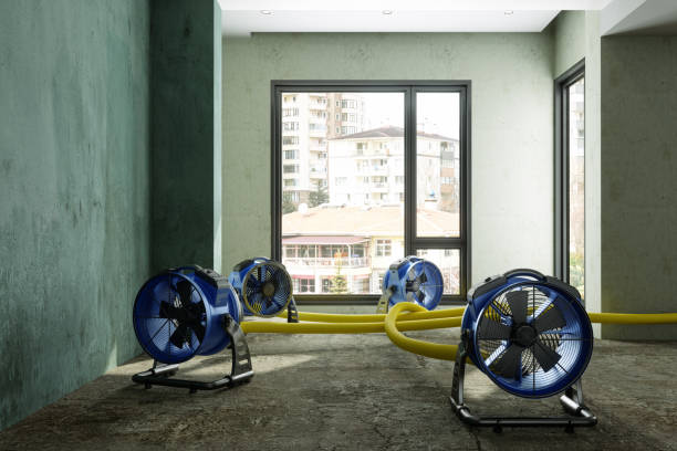 Best Residential water damage restoration  in Candor, NC